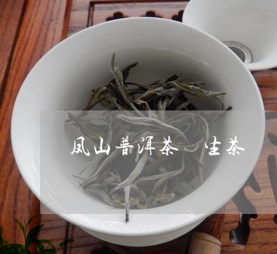 凤山普洱茶 生茶/2023041295837